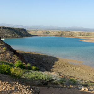 Tales of the Djibouti By Camille Massida